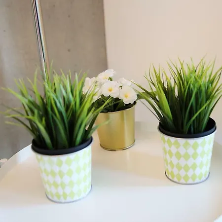 Апартаменты Family Studio *