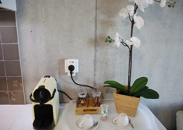 Family Apartment Aveiro