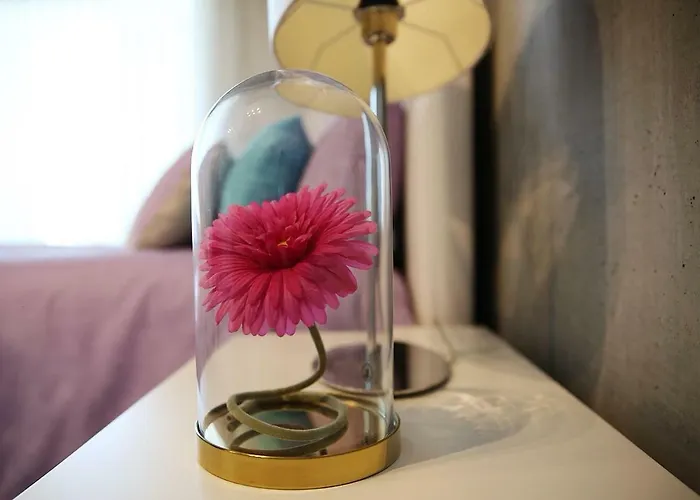 Apartment Family Aveiro